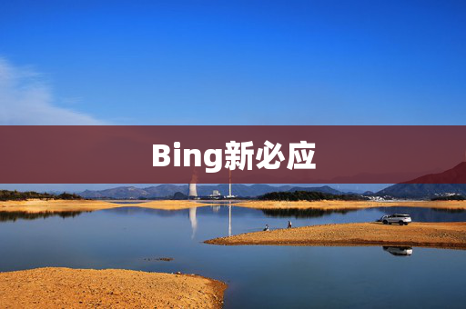 Bing新必应