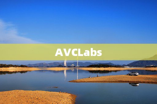 AVCLabs